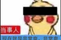 娱乐吃瓜鹅君,揭秘娱乐圈那些不为人知的幕后故事