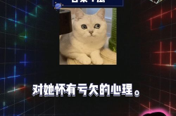 娱乐综艺吃瓜八卦,综艺吃瓜八卦大揭秘