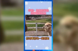 娱乐吃瓜Jerry,Jerry带你领略娱乐圈的趣味瞬间