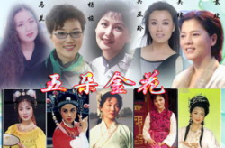 黄梅戏五朵金花,传奇人生与艺术辉煌