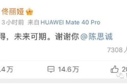 吃瓜娱乐圈总结