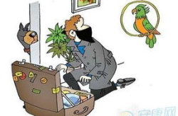 梦见偷东西被发现,梦见偷东西被发现背后的心理寓意