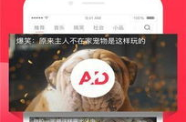 娱乐吃瓜芋泥视频下载,芋泥吃瓜达人教你轻松下载娱乐视频