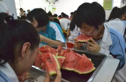 娱乐吃瓜酱服饰监督员