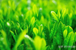 护眼壁纸,护眼壁纸的挑选与使用指南