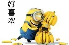 网红吃瓜爆料小黄人,小黄人生涯背后的真相