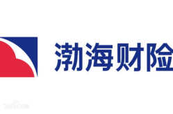 渤海保险公司电话,电话服务解析，全面了解客户服务之道