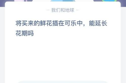 将买来的鲜花插在可乐中,揭秘可乐中插鲜花延长花期的秘密”